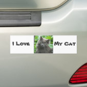 Long Haire Grey Blue Cat Bumpersticker (Op auto)