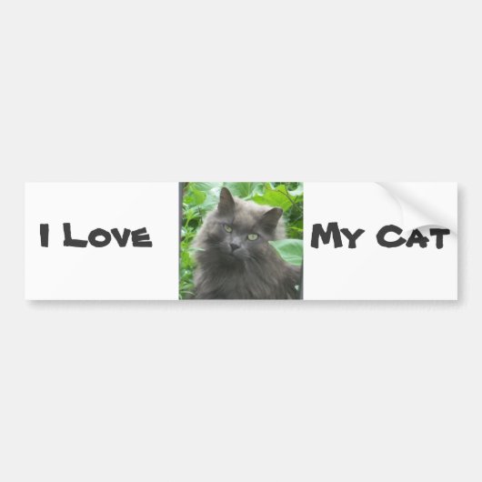 Long Haire Grey Blue Cat Bumpersticker (Voorkant)