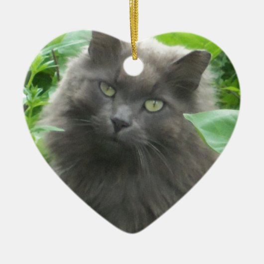 Long Haire Grey Blue Cat Keramisch Ornament (Voorkant)