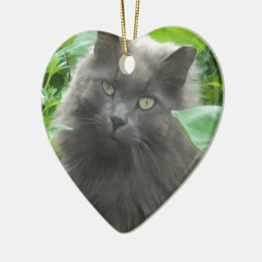 Long Haire Grey Blue Cat Keramisch Ornament (Links)