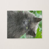 Long Haire Grey Blue Cat Legpuzzel (Horizontaal)