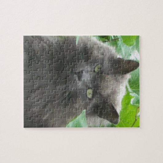 Long Haire Grey Blue Cat Legpuzzel (Horizontaal)