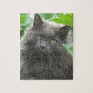 Long Haire Grey Blue Cat Legpuzzel