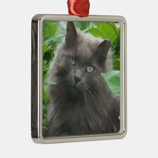 Long Haire Grey Blue Cat Metalen Ornament (Rechts)