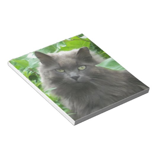 Long Haire Grey Blue Cat Notitieblok (Schuin)