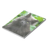 Long Haire Grey Blue Cat Notitieblok (Linkerzijde)
