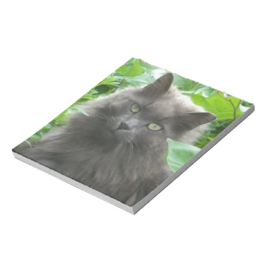 Long Haire Grey Blue Cat Notitieblok (Linkerzijde)