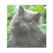 Long Haire Grey Blue Cat Notitieblok (Voorkant)