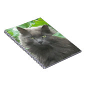 Long Haire Grey Blue Cat Notitieboek (Rechterzijde)