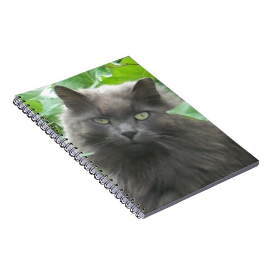 Long Haire Grey Blue Cat Notitieboek (Rechterzijde)