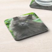 Long Haire Grey Blue Cat Onderzetter (Linkerzijde)