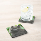 Long Haire Grey Blue Cat Onderzetter (Rechterzijde)