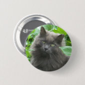 Long Haire Grey Blue Cat Ronde Button 5,7 Cm (Voorkant /achterkant)