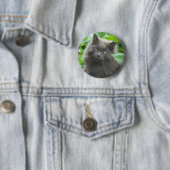 Long Haire Grey Blue Cat Ronde Button 5,7 Cm (In situ)