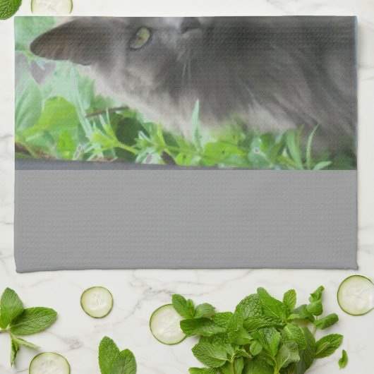 Long Haire Grey Blue Cat Theedoek (Gevouwen)