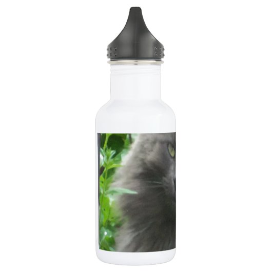 Long Haire Grey Blue Cat Waterfles (Links)