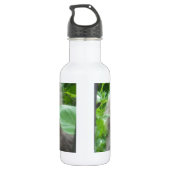 Long Haire Grey Blue Cat Waterfles (Achterkant)