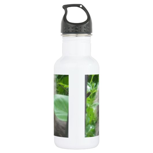 Long Haire Grey Blue Cat Waterfles (Achterkant)