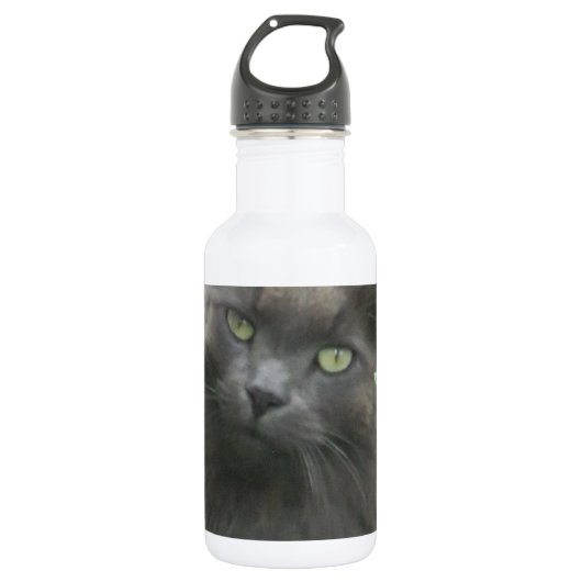 Long Haire Grey Blue Cat Waterfles (Voorkant)