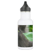 Long Haire Grey Blue Cat Waterfles (Rechts)