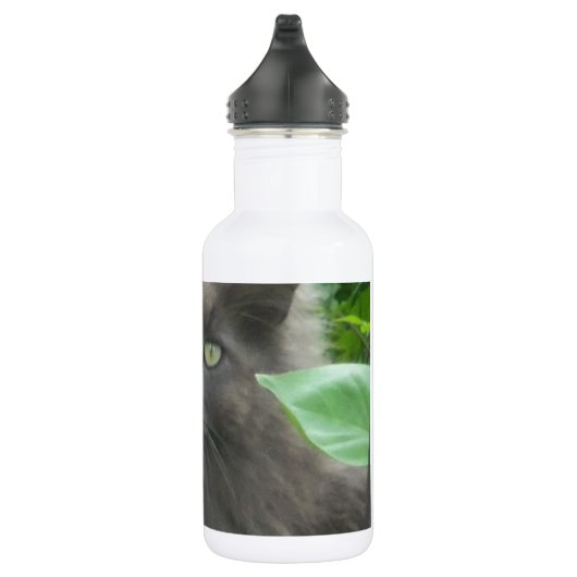 Long Haire Grey Blue Cat Waterfles (Rechts)