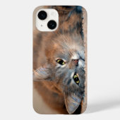 Long Haire Russian Blue Cat van Shirley Taylor Case-Mate iPhone Case (Achterkant)