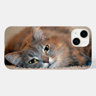 Long Haire Russian Blue Cat van Shirley Taylor Case-Mate iPhone 14 Hoesje