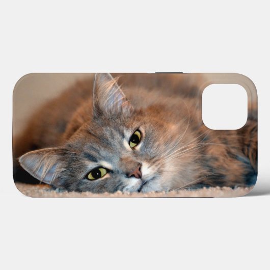 Long Haire Russian Blue Cat van Shirley Taylor Case-Mate iPhone Case (Achterkant (horizontaal))