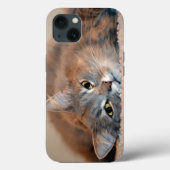 Long Haire Russian Blue Cat van Shirley Taylor Case-Mate iPhone Case (Achterkant)
