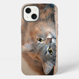 Long Haire Russian Blue Cat van Shirley Taylor iPhone 13 Hoesje