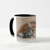 Long Haire Russian Blue Cat van Shirley Taylor Mok (Voorkant links)