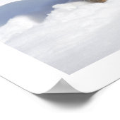 Long-Haire Shepherd in sneeuw Poster (Hoek)