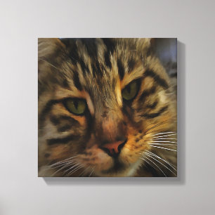 Long Haire Tabby Cat Artistic Pet Portrait v2 Canvas Afdruk