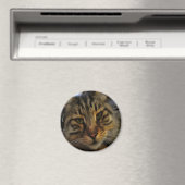 Long Haire Tabby Cat Artistic Pet Portrait v2 Magneet (Insitu (Vaatwasser))