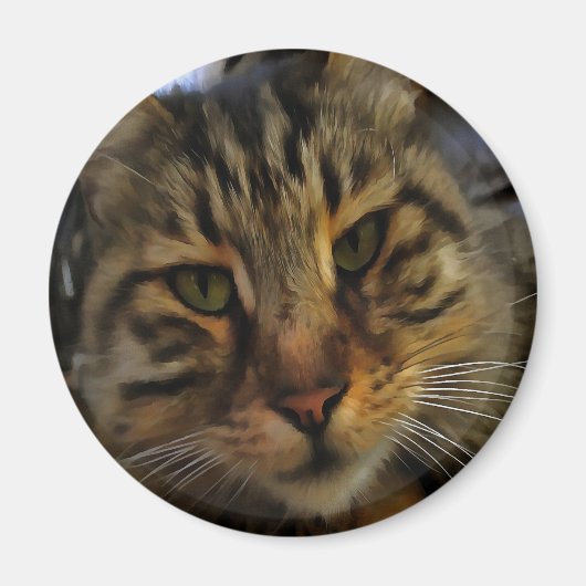Long Haire Tabby Cat Artistic Pet Portrait v2 Magneet (Voorkant)