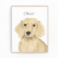 Long Haired Cream Dachshund Art