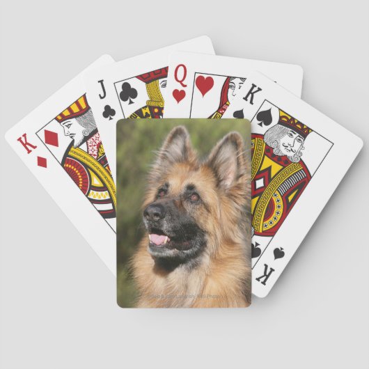 Long Haired German Shepherd 1 Pokerkaarten (Achterkant)