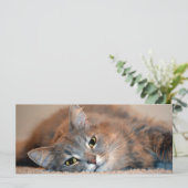 Long Hazard Blue Russian Cat door Shirley Taylor (Staand voorkant)