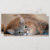 Long Hazard Blue Russian Cat door Shirley Taylor (Voorkant / Achterkant)