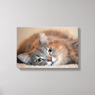 Long Hazard Blue Russian Cat door Shirley Taylor Canvas Afdruk