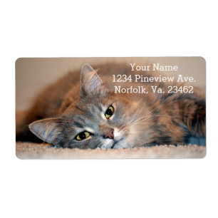 Long Hazard Blue Russian Cat door Shirley Taylor Etiket