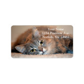 Long Hazard Blue Russian Cat door Shirley Taylor Etiket (Voorkant)