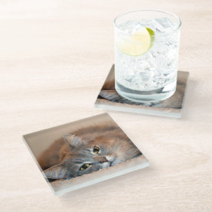 Long Hazard Blue Russian Cat door Shirley Taylor Glazen Onderzetter