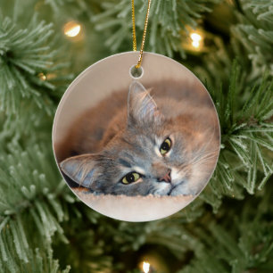 Long Hazard Blue Russian Cat door Shirley Taylor Keramisch Ornament