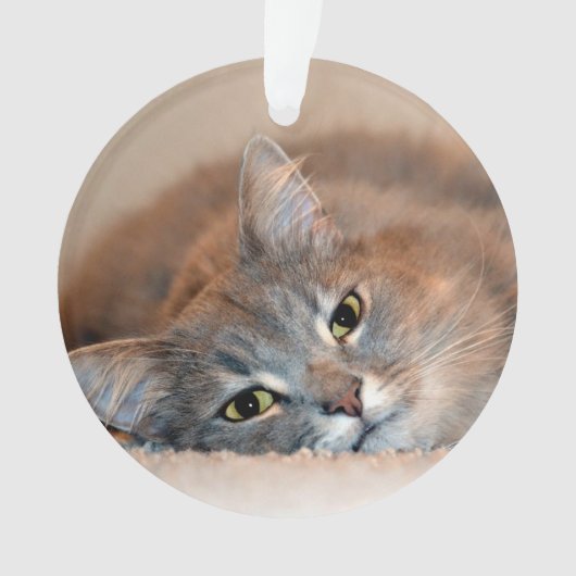 Long Hazard Blue Russian Cat door Shirley Taylor Ornament (voorkant)