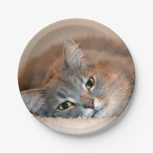Long Hazard Blue Russian Cat door Shirley Taylor Papieren Bordje