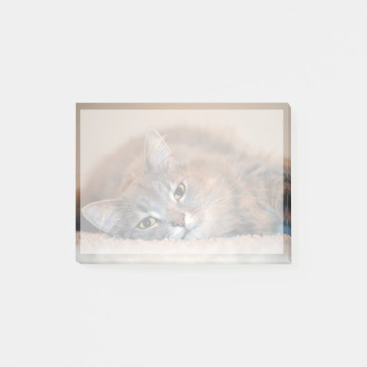 Long Hazard Blue Russian Cat door Shirley Taylor Post-it® Notes (Voorkant)