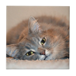 Long Hazard Blue Russian Cat door Shirley Taylor Tegeltje