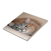 Long Hazard Blue Russian Cat door Shirley Taylor Tegeltje (Zijkant)