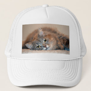 Long Hazard Blue Russian Cat door Shirley Taylor Trucker Pet
